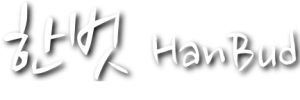 Logo V6